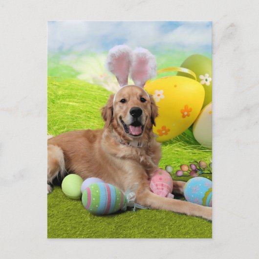 Ostern - Goldene Retriever - Frank Feiertagspostkarte (Vorderseite)