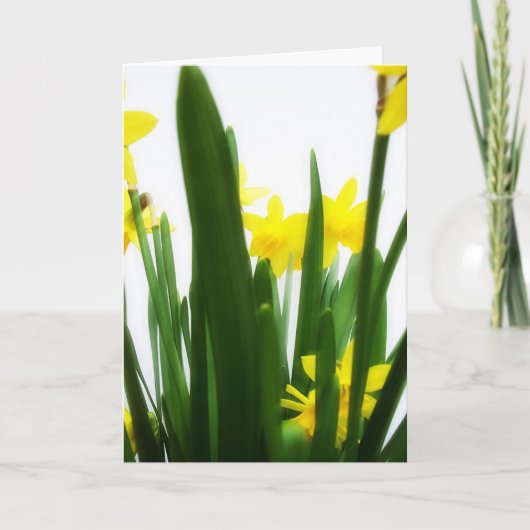 Ostern-Grüße Feiertagskarte (Vorderseite)