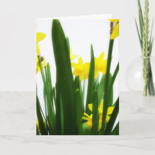 Ostern-Grüße Feiertagskarte