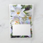 Ostern [Grußkarte] ド Limousine Karte (Innenseite)