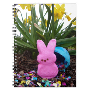 Ostern-Hase-Friede-Liebe-Kunst-Schicksal personali Notizblock
