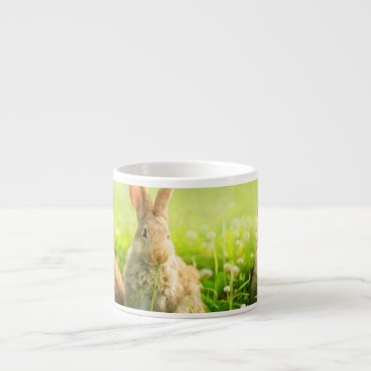 Ostern-Kaninchen Espressotasse (Vorderseite)