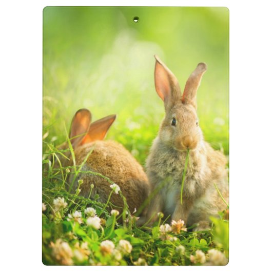 Ostern-Kaninchen Klemmbrett (Rückseite)