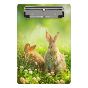 Ostern-Kaninchen Mini Klemmbrett
