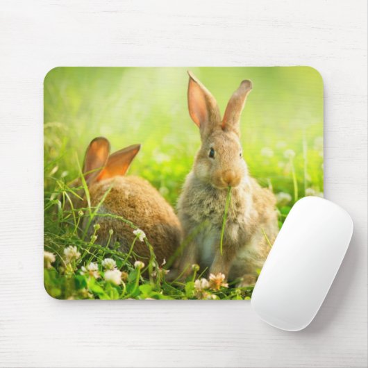 Ostern-Kaninchen Mousepad (Mit Mouse)