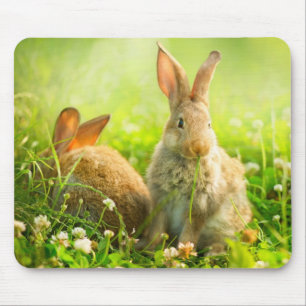 Ostern-Kaninchen Mousepad