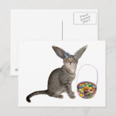 Ostern-Kätzchen-Postkarten Feiertagspostkarte (Vorne/Hinten)