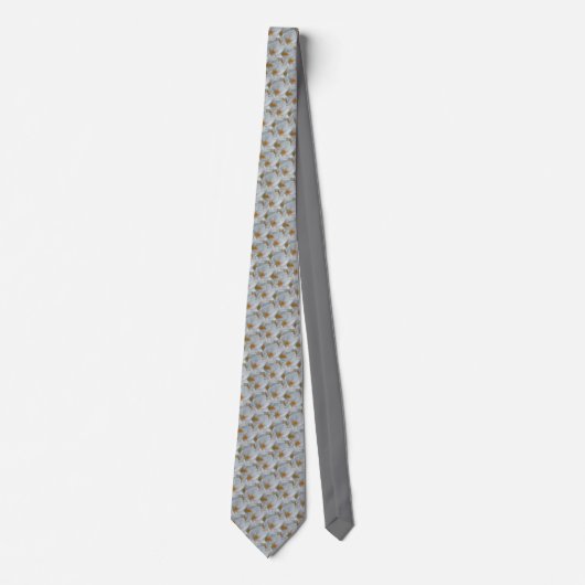 Ostern Krawatte Crocus Blume Necktie Ostern Gesche (Vorderseite)
