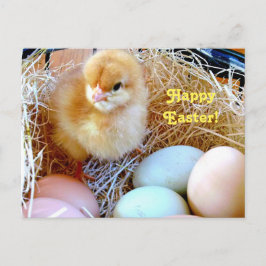 Ostern-Küken in der Korb-Postkarte Feiertagspostkarte