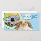 Ostern - Mops - Louie Feiertagskarte (Vorne/Hinten)