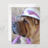 Ostern-Mütze Feiertagspostkarte (Vorne/Hinten)