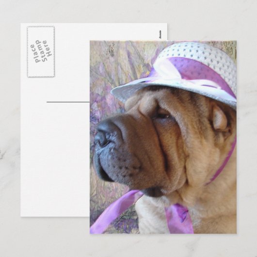 Ostern-Mütze Feiertagspostkarte (Vorne/Hinten)