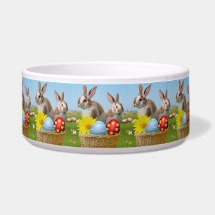 Ostern Niedlich Bunny für eine positive Stimmung Napf