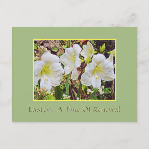 OSTERN POSTKARTE/WEIßE TAGLILIEN POSTKARTE
