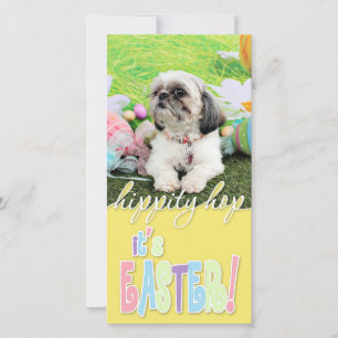 Ostern - Shih Tzu - Sophie Feiertagskarte