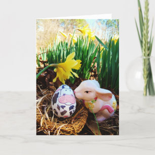 Ostern Sonniges Küssen Kuh Ei Ferienkarte Feiertagskarte