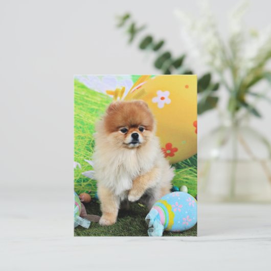 Ostern - Spitz - Dexter Feiertagspostkarte (Stehend Vorderseite)