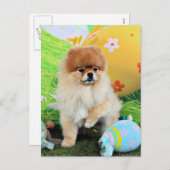 Ostern - Spitz - Dexter Feiertagspostkarte (Vorne/Hinten)