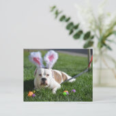 Ostern-Tal-Bulldogge Feiertagspostkarte (Stehend Vorderseite)