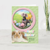 Ostern - Weimaraner - Ben Feiertagskarte (Vorderseite)