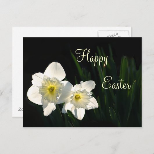 Osternadel Feiertagspostkarte (Vorne/Hinten)