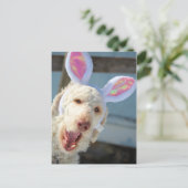 OsterOllie Feiertagspostkarte (Stehend Vorderseite)