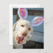 OsterOllie Feiertagspostkarte (Vorne/Hinten)