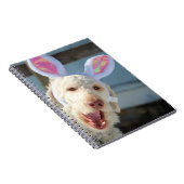 OsterOllie Notizblock (Rechte Seite)