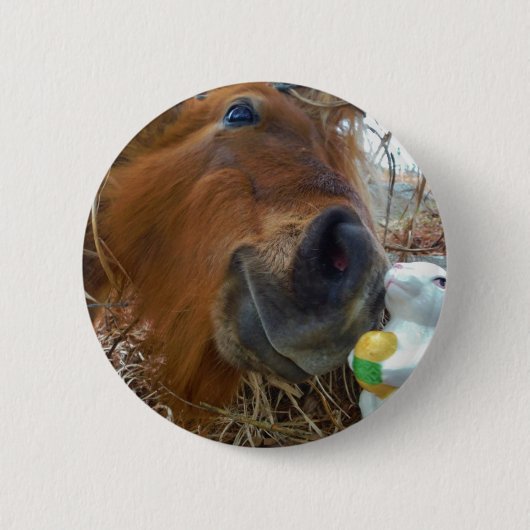 Osterpferd Button (Vorderseite)