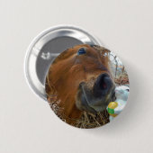 Osterpferd Button (Vorne & Hinten)