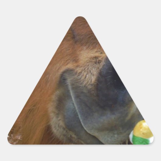 Osterpferd Dreieckiger Aufkleber (Vorderseite)