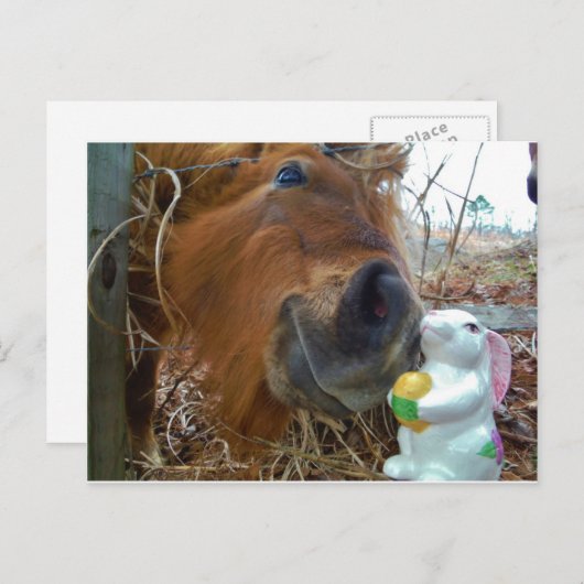 Osterpferd Feiertagspostkarte (Vorne/Hinten)