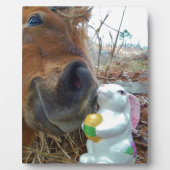 Osterpferd Fotoplatte (Vorderseite)