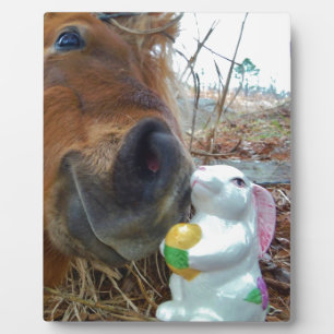 Osterpferd Fotoplatte