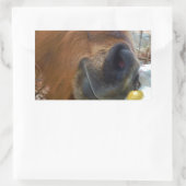 Osterpferd Rechteckiger Aufkleber (Tasche)