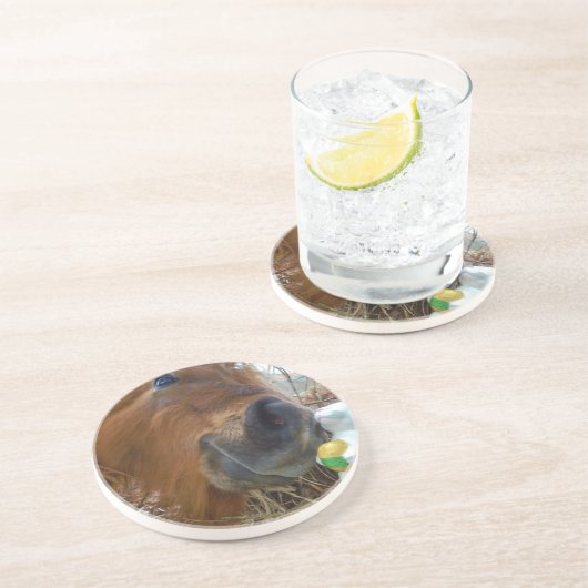 Osterpferd Sandstein Untersetzer (Seite)