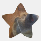 Osterpferd Stern-Aufkleber (Vorderseite)