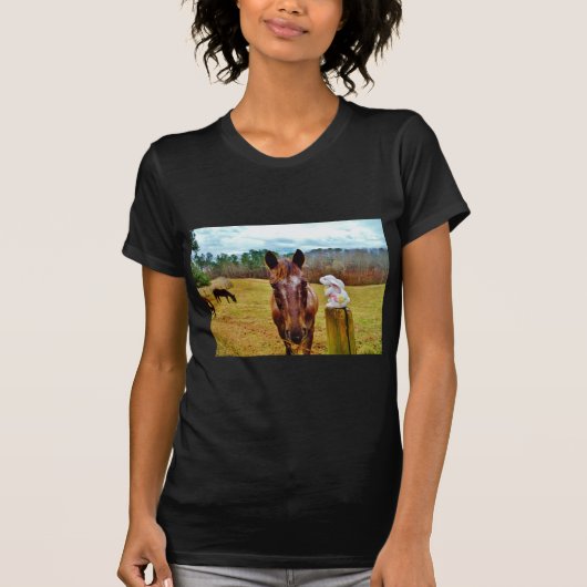 Osterpferd T-Shirt (Vorderseite)