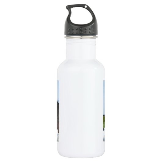 Osterpony und Pferd Edelstahlflasche (Rückseite)