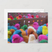 Osterpostkarte Feiertagspostkarte (Vorne/Hinten)