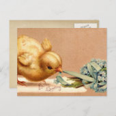 Osterpostkarte Feiertagspostkarte (Vorne/Hinten)