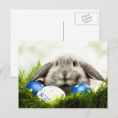 Osterpostkarte Feiertagspostkarte (Vorne/Hinten)