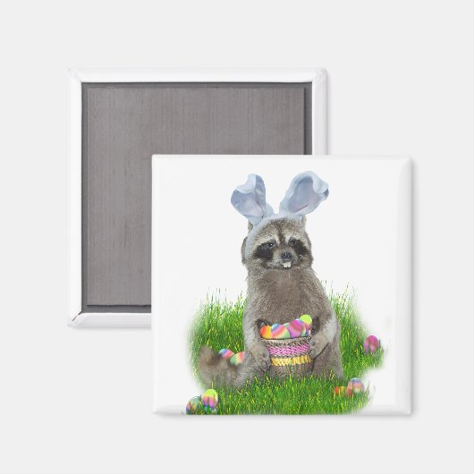 Osterracoon Bandit Magnet (Vorderseite/Rückseite)