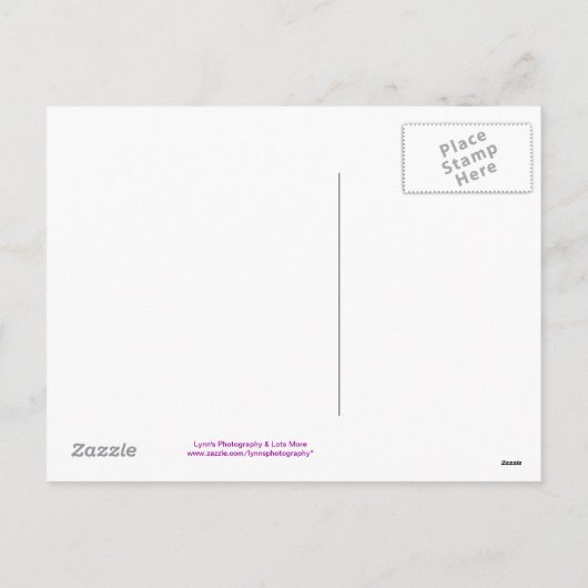 Osterrätsel - Postkarte (Rückseite)