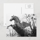 Österreich, Salzburg. Pferdestatue, Postkarte (Vorne/Hinten)