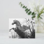 Österreich, Salzburg. Pferdestatue, Postkarte (Stehend Vorderseite)