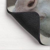 Österreich-Ungarischer Weißer Donkey Mousepad (Ecke)