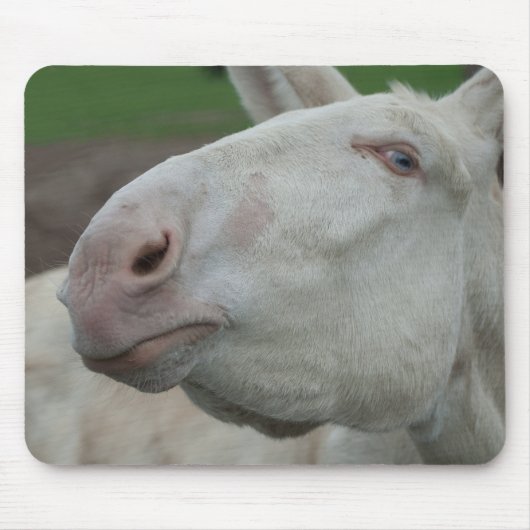 Österreich-Ungarischer Weißer Donkey Mousepad (Vorne)