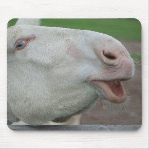 Österreich-Ungarischer Weißer Donkey Mousepad