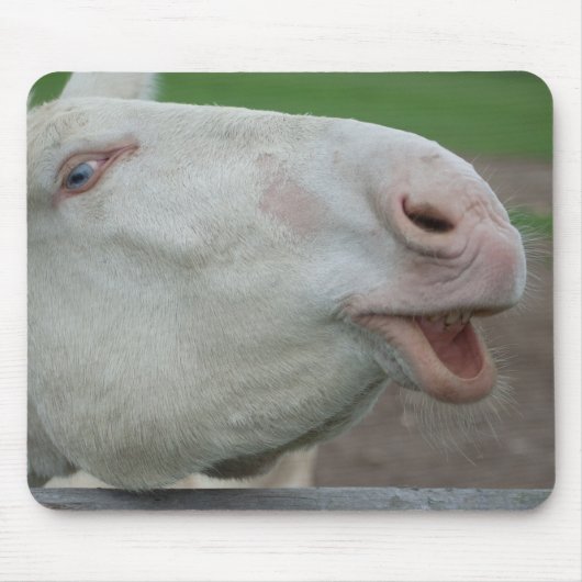 Österreich-Ungarischer Weißer Donkey Mousepad (Vorne)